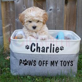 Paws of My Toys Personalized Dog Toy Bin