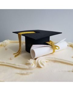 Class of 2024 Graduation Cap and Diploma Cake Decor
